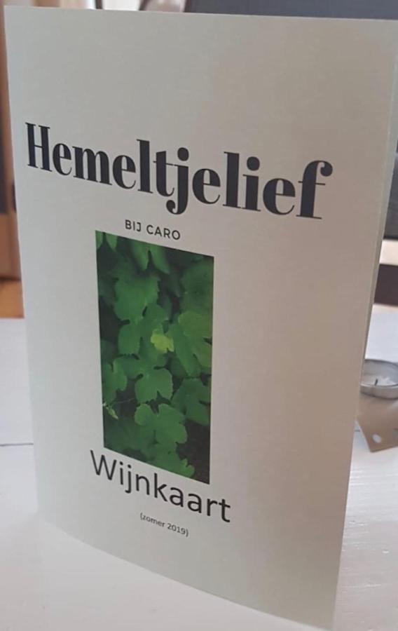 Hemeltjelief Bij Caro Bed & Breakfast Ezinge Exterior foto